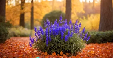 Planta de Veronica florecida en otoño