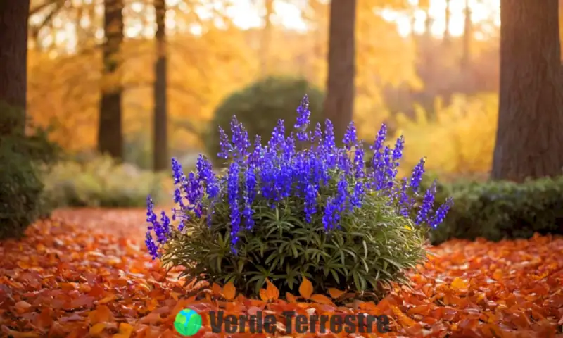 Planta de Veronica florecida en otoño