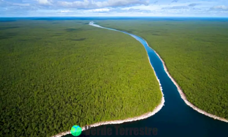 Representación visual de los zonamientos bioclimáticos afectados por el cambio climático, con un paisaje dividido que muestra selva tropical, desierto, bosque templado y tundra