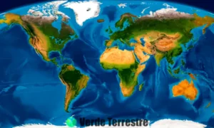Mapa colorido de las zonas bioclimáticas de la Tierra
